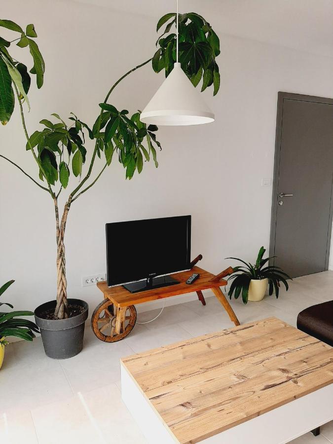 Green Bee Apartment Lesce  Exterior photo